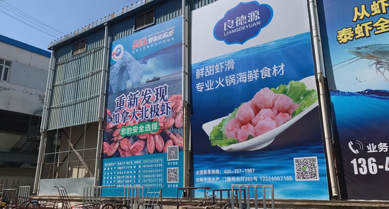 加拿大北极虾广告,加拿大北极甜虾厂家直销
