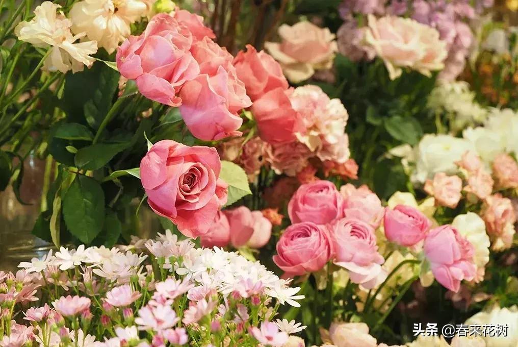 日本东京花店推荐,超美的花店