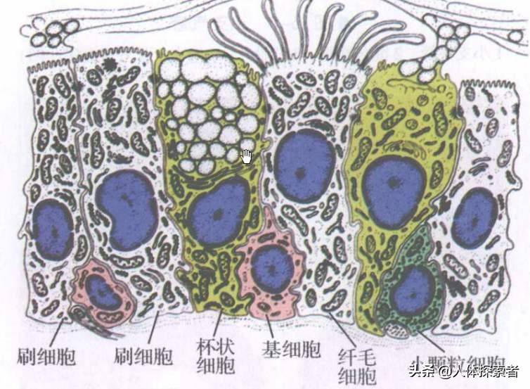张医生谈癌症治疗,张医生讲疾病
