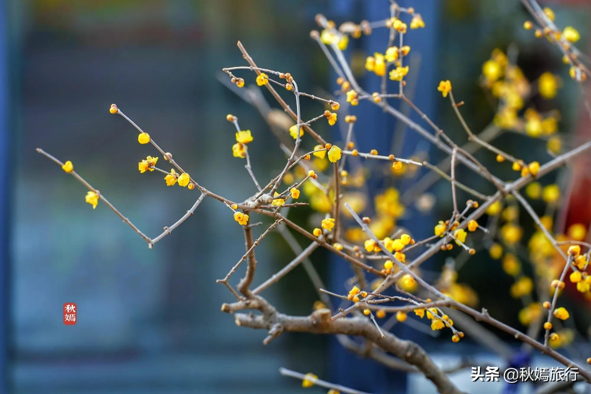 常熟茶室推荐,常熟一家雅致茶室