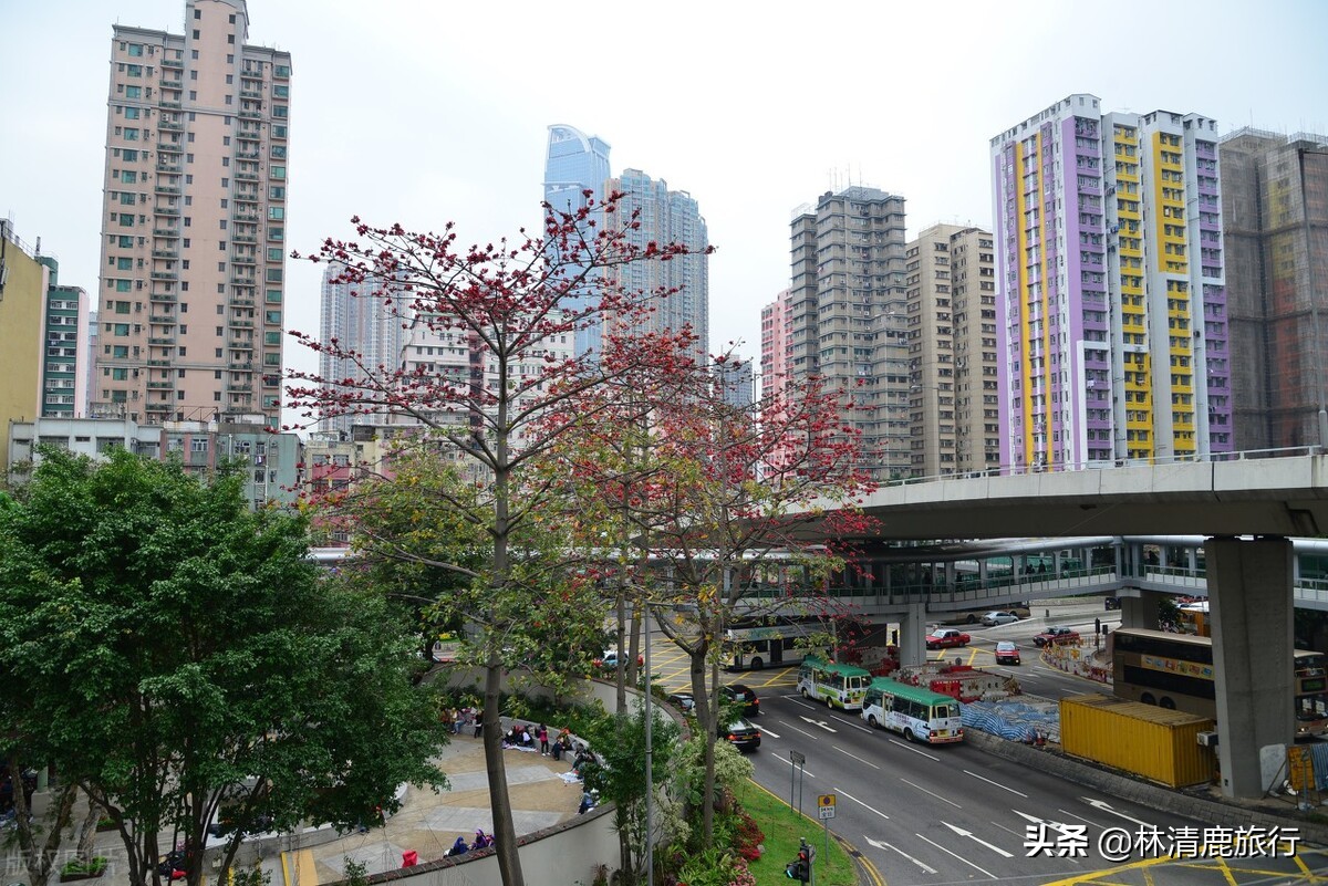 攀枝花旅游养老攻略,攀枝花养老旅游居住