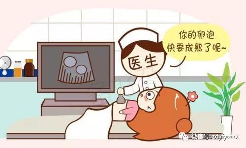 试管婴儿七大步骤,试管婴儿几大攻略助孕提高成功率