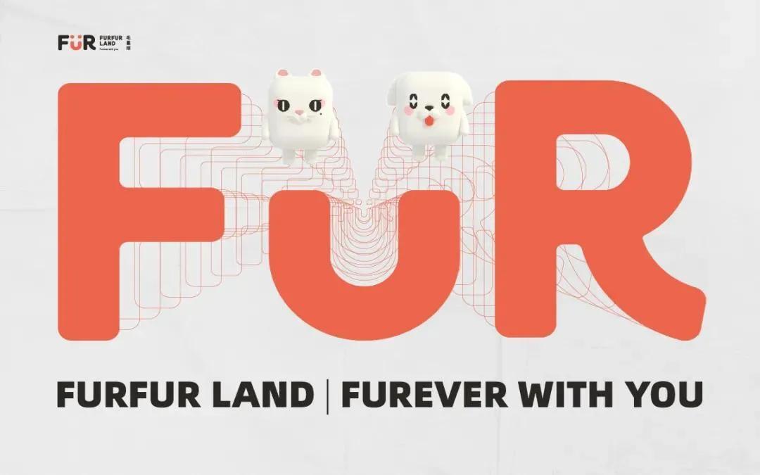 三年级英语上册,三年造出光刻机