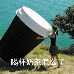 好用的gif表情包app,有什么好用的表情包p图软件