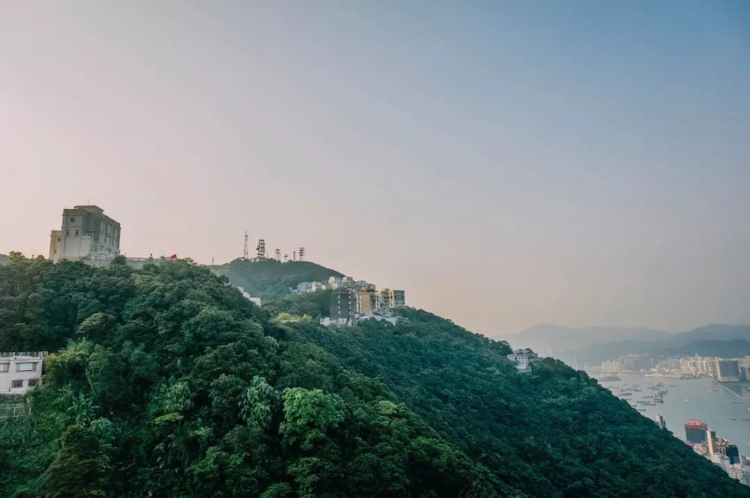 去香港怎么订机票最省钱,去香港旅游攻略最新消息
