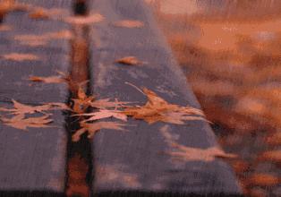 关于雨的日语名字,跟雨有关的日语名