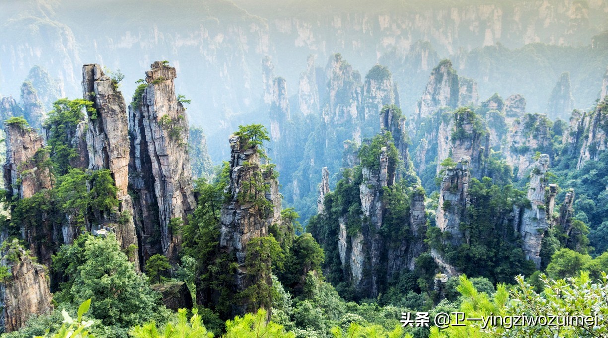 张家界旅游费用多少详细省钱攻略,张家界国家森林公园旅游详细攻略