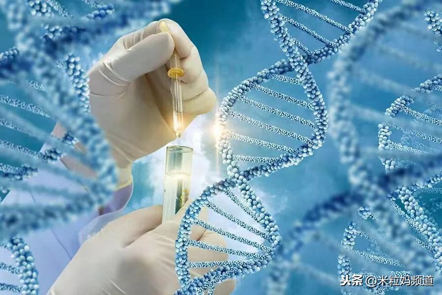 世界首例基因编辑主导者,世界第1例转基因植物