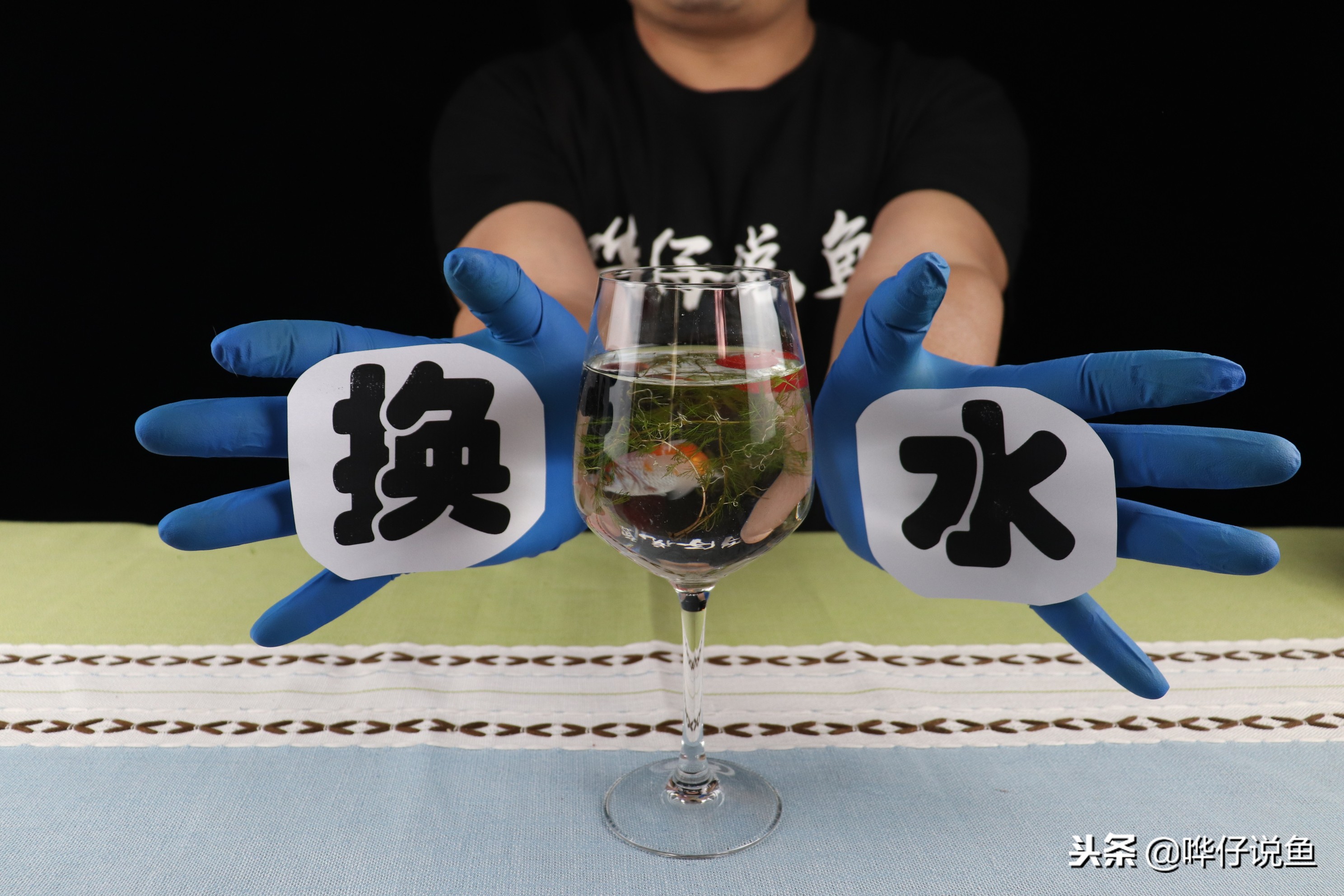 自家的鱼缸两三年没放水会臭吗,鱼缸可以一年不换水吗