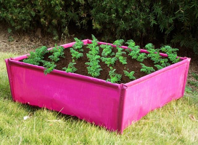 微景观绿植小花盆,各种小花盆有创意的