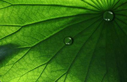 能抗台风的户外伞,抗风8级阳光伞