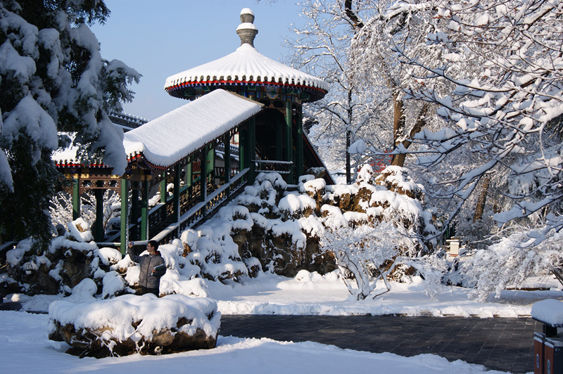 每日一校北京大学,每日一校领科教育