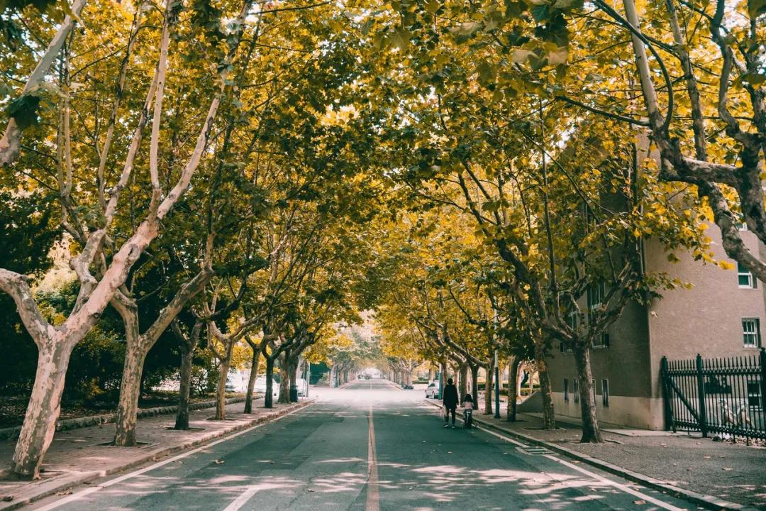 大连是座浪漫的城市,大连这座城市真的好美