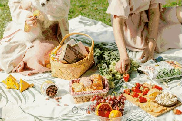 澳洲sukin官网,澳洲纯植物护肤品牌价格