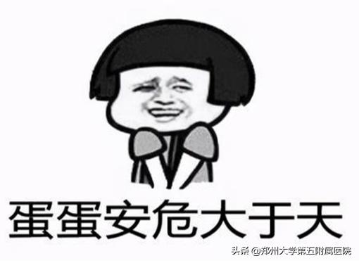 蛋蛋的忧伤原版,蛋蛋的忧伤拳击