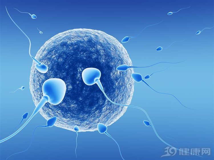 男性一生中最多可以产生多少精子,男性一生中能产生多少精子