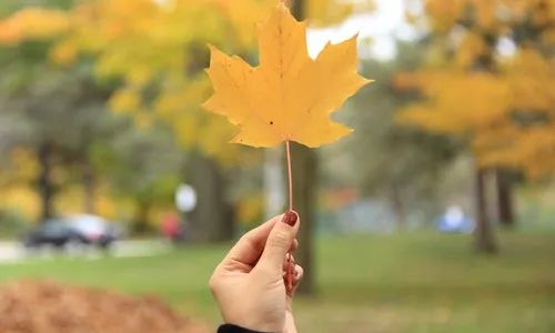 英语不行，他用3年时间总算寻得无语言要求的加拿大移民方式