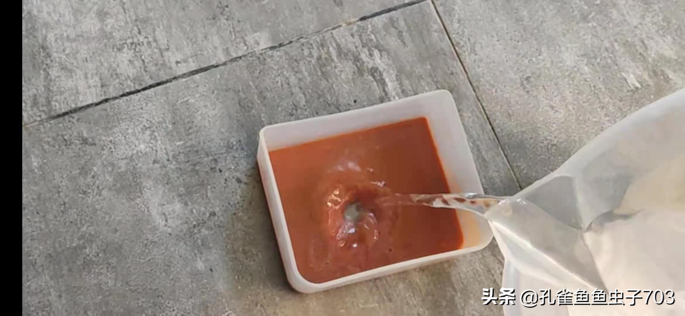 孔雀鱼应该吃什么最好,五种新手必入的孔雀鱼