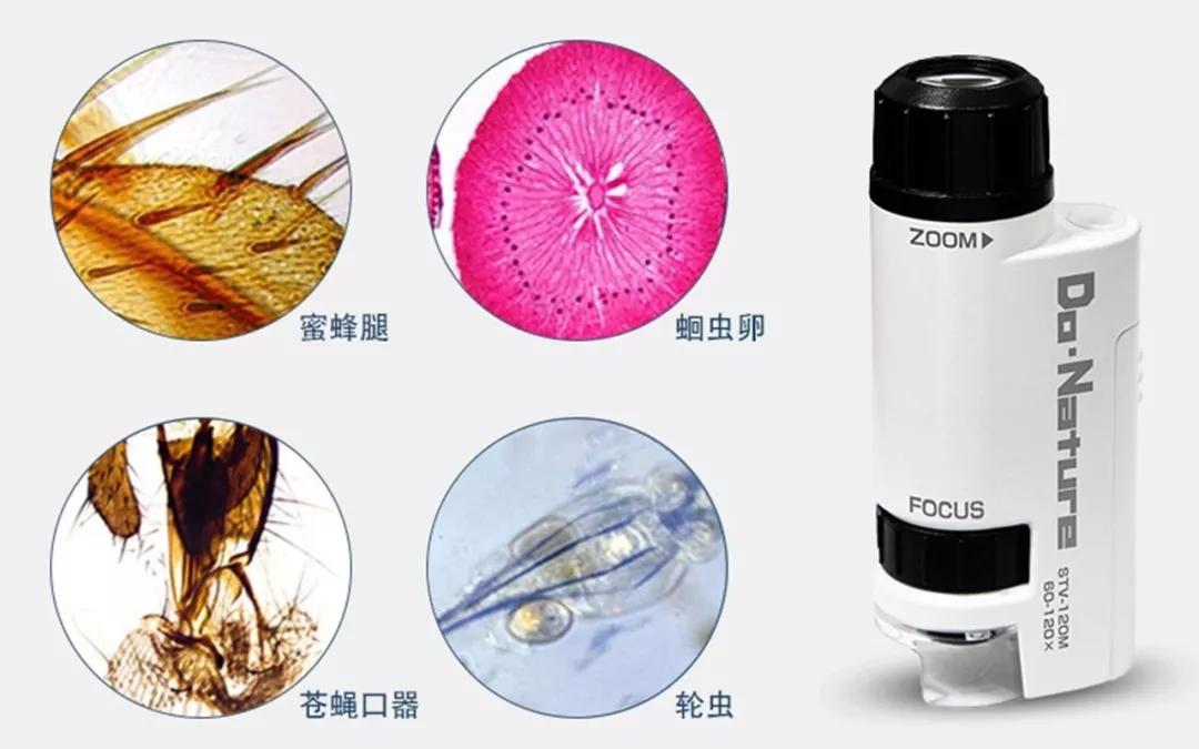 显微镜最大可以放大5000倍,只能放大1200倍的显微镜