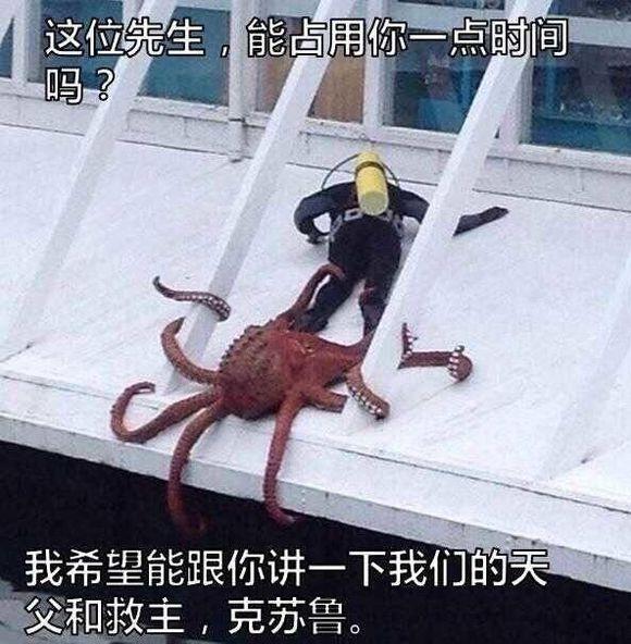 跑鞋硬弹脚感,跑鞋黑科技鞋名