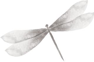 1-3岁识字顺口溜有哪些,干货满满的顺口溜