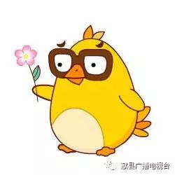 2023年高中招生计划沧州,沧州市2023年高中招生计划