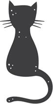 猫为什么高冷一点面子都不给猫,猫咪主子你的高冷去哪里了