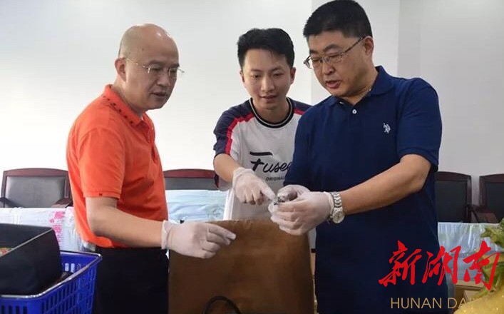 岳阳盗窃案件,岳阳一男子大白天入室盗窃