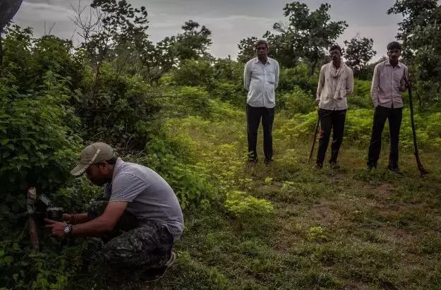 致死十余人！悍虎食人成患民兵无奈使出绝招：CK男士香水
