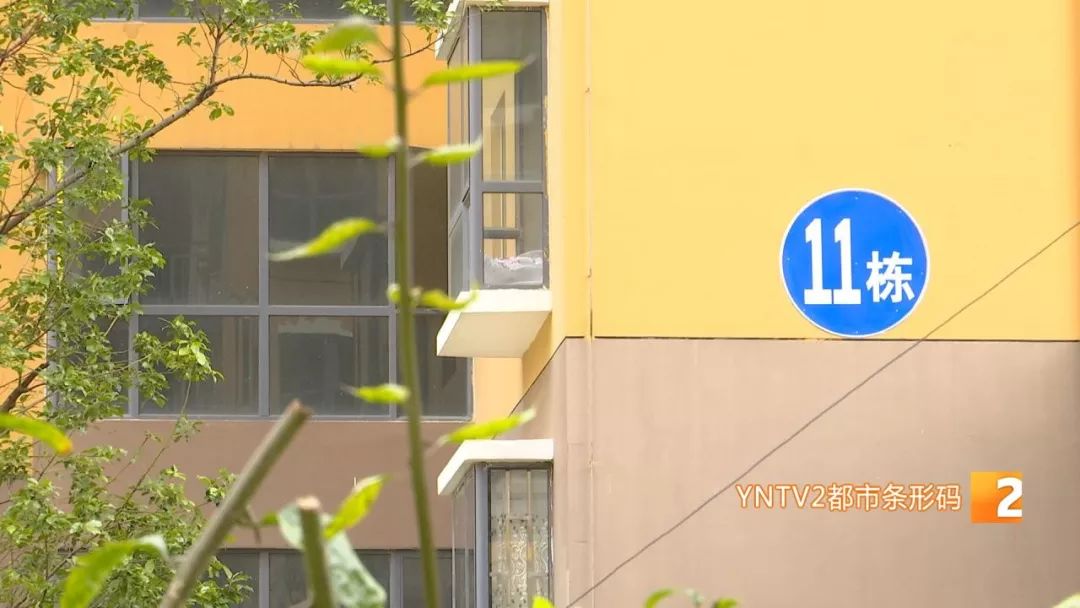 凤凰雅苑最新信息,违规楼盘