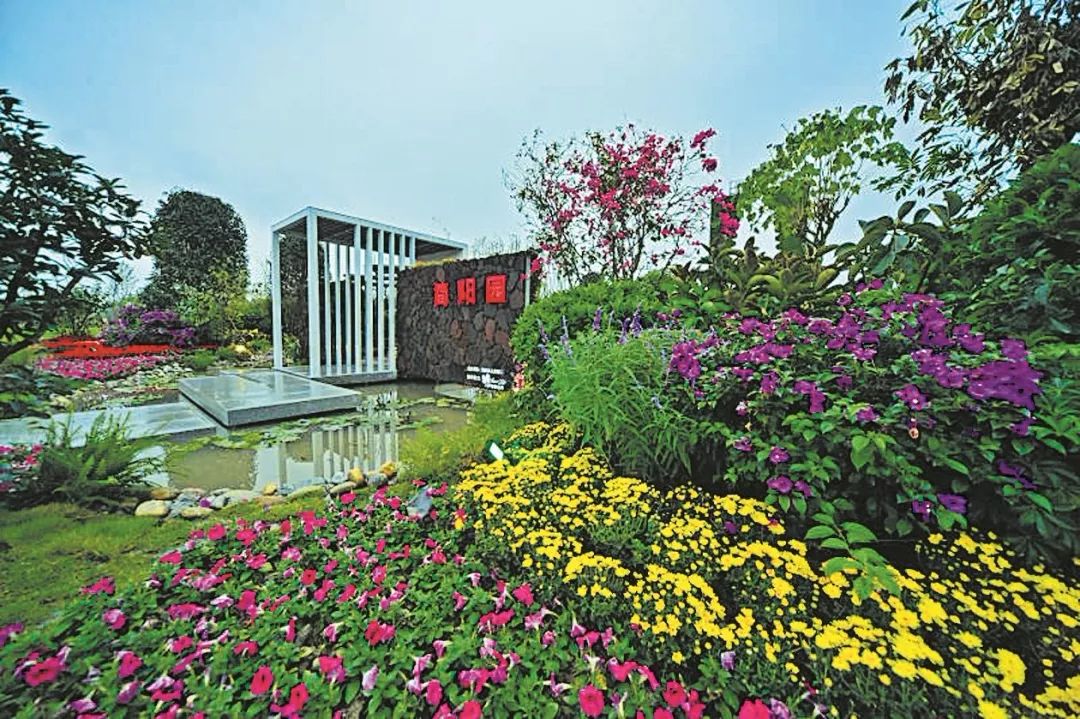 头条｜城市颜值增不停！市城管局精细化管理9大亮点出奇效！