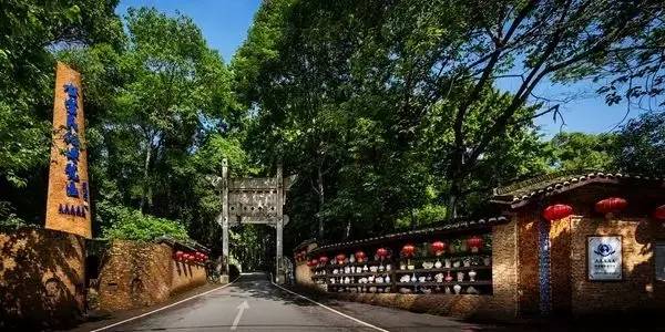 519江西景区免门票,519浙江旅游日免费景点