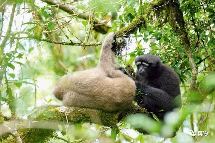 想跟博物一起外出采风？春节我们滇西见