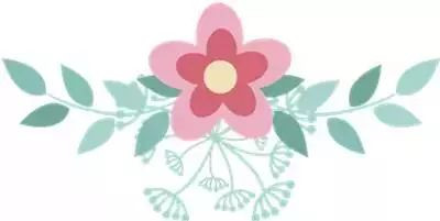 湿气不重但是很胖,泰国的祛湿足贴