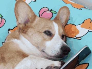 7种多肽养肤精华,胶原蛋白精华面霜