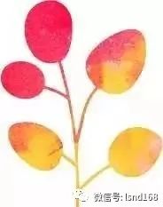 一年四季必备芦荟胶男女通用,刮毛神器芦荟胶