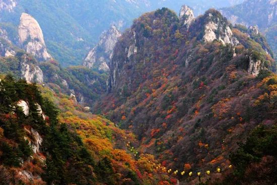 河南秋季最美红叶,河南十大红叶观赏地