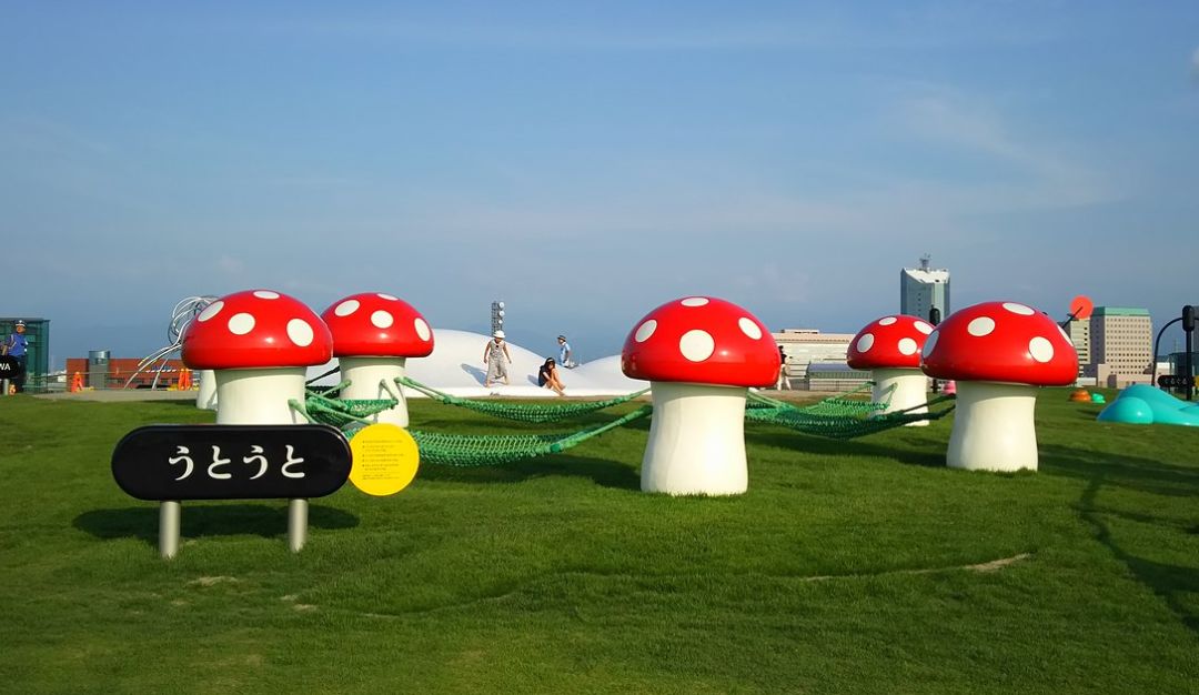 日本国立新美术馆,日本最美五大艺术馆