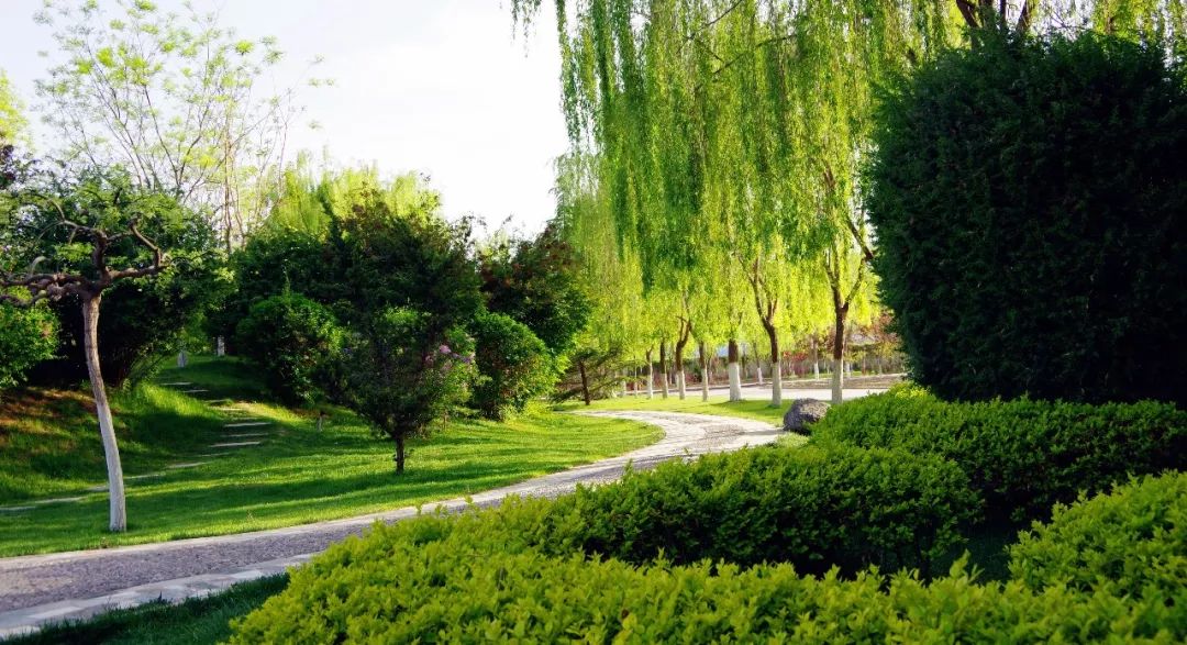 百年兰州理工大学,兰理工的历史沿革