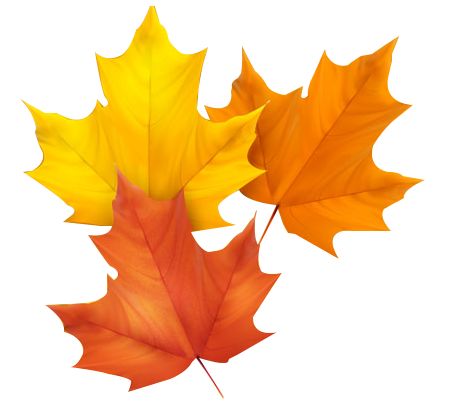 慧慧旅行的最新视频,慧游旅游