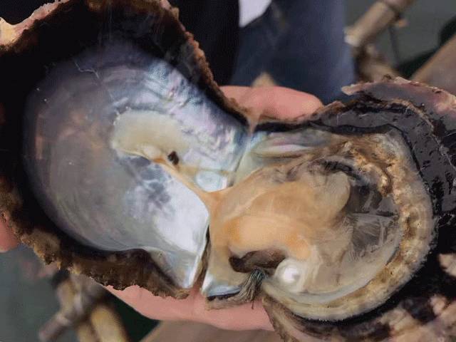 日常不化妆涂了可以出门的素颜霜,直接涂就可以出门的素颜霜推荐