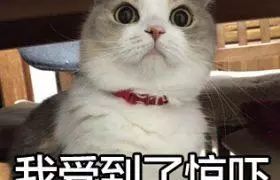 急诊科医生接吻第一集,急诊科医生接吻后续