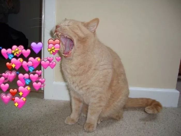 十二星座谁能保持风度呢,十二星座谁能保持新鲜感