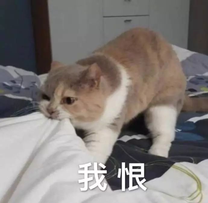 干到起皮用什么水乳,干起皮泛红用大牌水乳