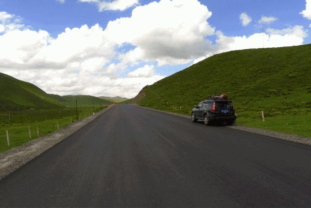 一条精选｜深山里的天然蜂巢蜜，可以解油腻的纯植物茶