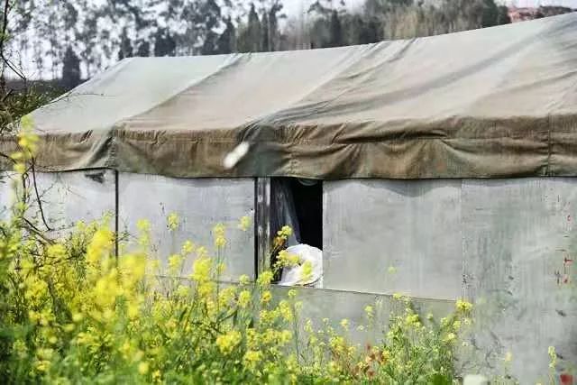 一条精选｜深山里的天然蜂巢蜜，可以解油腻的纯植物茶