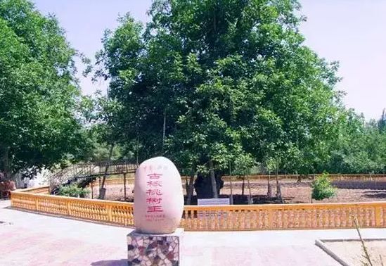 和田到底有多好？这篇文章告诉你