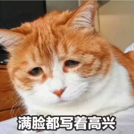半身麻醉全过程会睡着吗,半麻醉状态下你都听医生说过什么