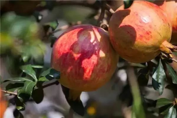 四川最南边的古城，看会理前世今生！