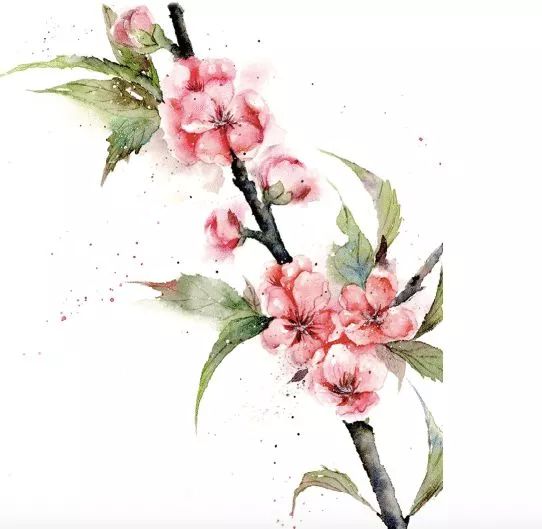 365每天一首古诗词日历2021版,古诗日历每天一首古诗词